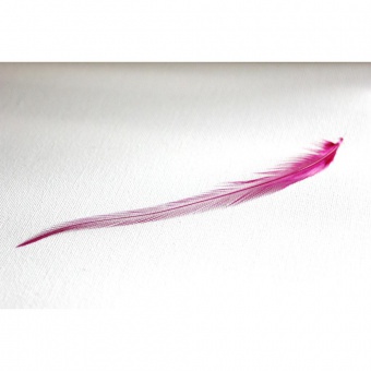Plume de cheveux rose fushia 15 à 17 cm