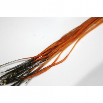 Extension Plume de cheveux orange et noir grizzly