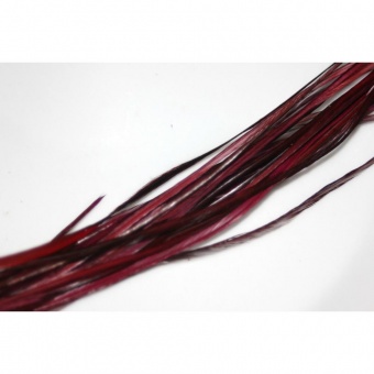 Extension naturelle Plume de cheveux bordeaux