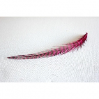 Plume de cheveux rose fushia grizzly 13 à16 cm