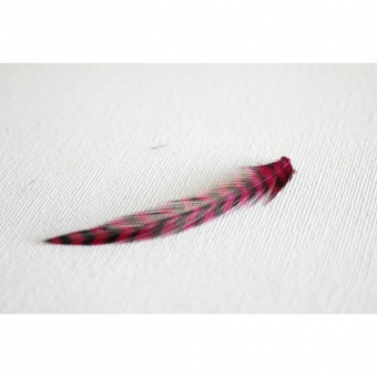 Plume de cheveux rose fushia grizzly 7 à 9 cm