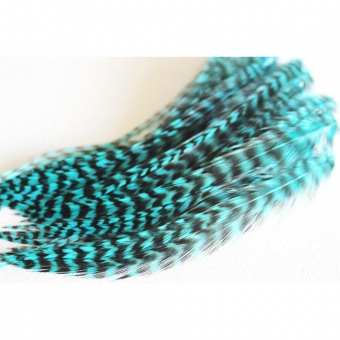 Plume de cheveux bleu turquoise grizzly 10 à 12 cm