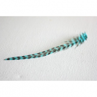 Plume de cheveux bleu turquoise grizzly 10 à 12 cm