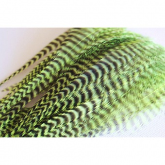 Plume de cheveux vert anis grizzly 13 à 16 cm