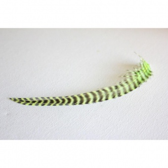 Plume de cheveux vert anis grizzly 13 à 16 cm