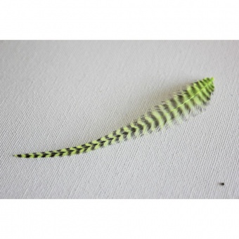 Plume de cheveux vert anis grizzly 10 à 12 cm