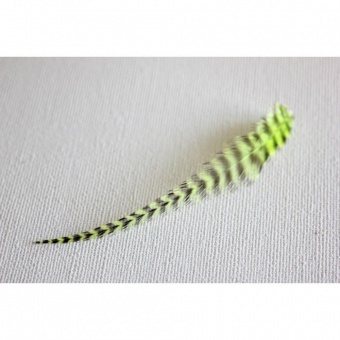 Plume de cheveux vert anis grizzly 7 à 9 cm