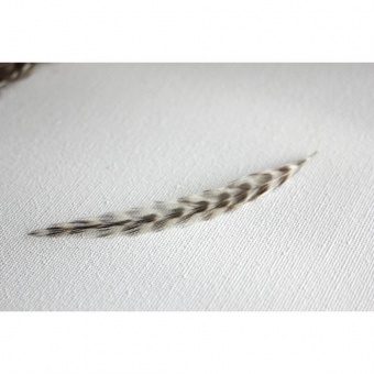 Plume de cheveux blanc et brun grizzly 7 à 9 cm