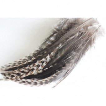 Plume de cheveux brunes pointe grizzly 12 à 15 cm