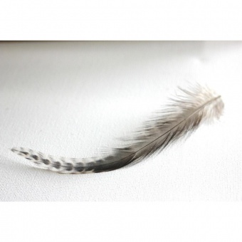 Plume de cheveux brunes pointe grizzly 12 à 15 cm