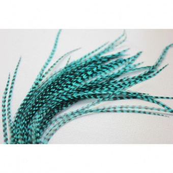 Extension Plume de cheveux bleu turquoise grizzly